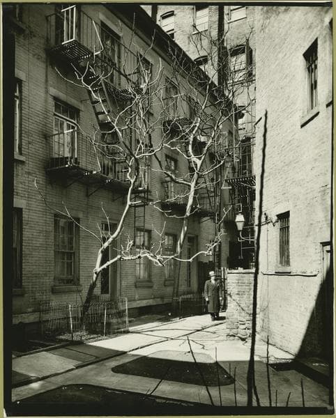Manhattan: Milligan Place - [Between West 10th and 11th Streets.], 1938