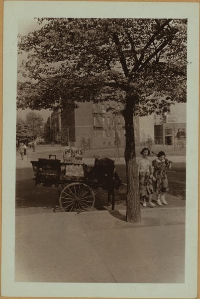 Occupations - Peddlers - Brooklyn., 1935–1940