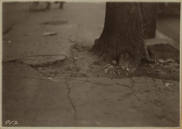 Trees., 1921