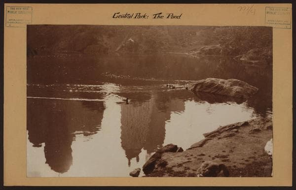Manhattan: Central Park - The Pond.