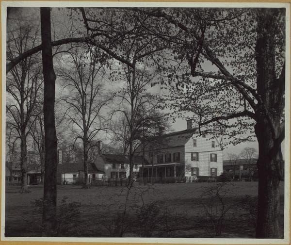 Queens: Jamaica Avenue - 150th Street
