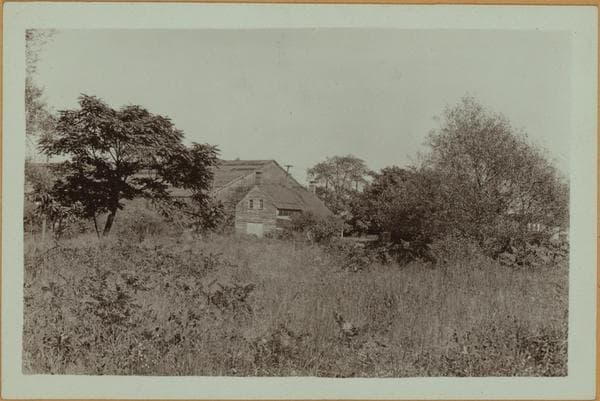 Richmond: Richmond Terrace - Linfield Avenue, 1931