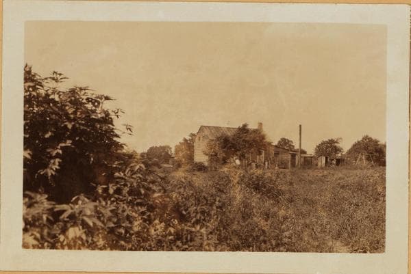 Bronx: Lafayette Avenue - Metcalf Avenue, 1928