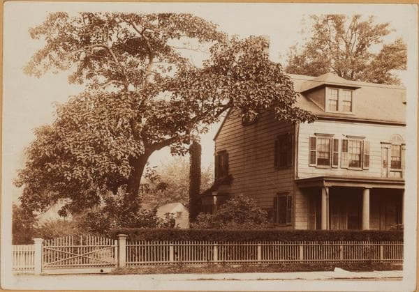 Brooklyn: Flatbush Avenue - Beekman Place, 1922–1928