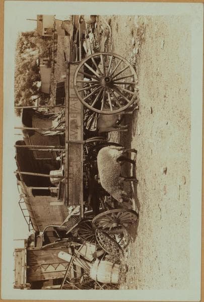 Farming in Brooklyn., 1934