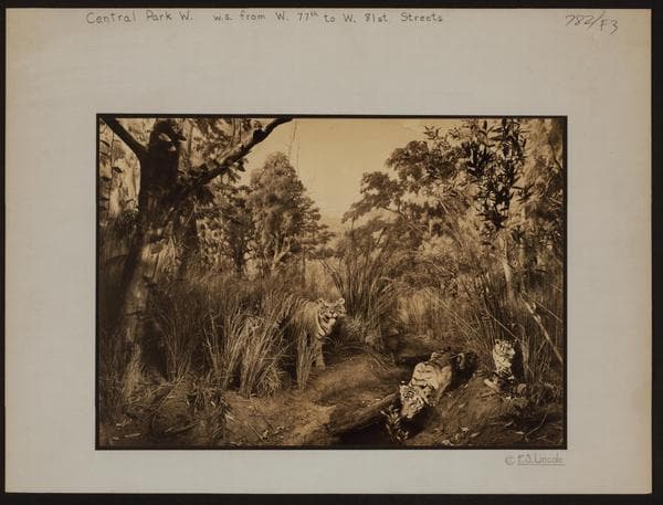 Manhattan: Central Park West - 77th Street (West), 1930