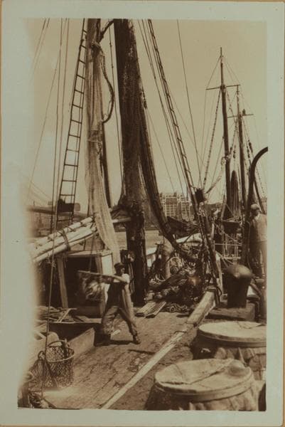 Fulton fish market in Manhattan - [Unloading fish from trawler Friars and boat Antonia.], 1933