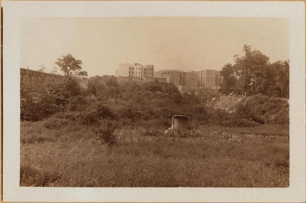 Bronx: White Plains Road - Brady Avenue, 1928