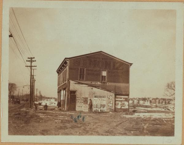 Queens: Queens Boulevard - Horace Harding Boulevard, 1924