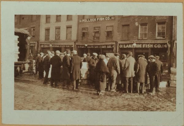 Fulton fish market - [Packaged fish under auction in Peck Slip.], 1923