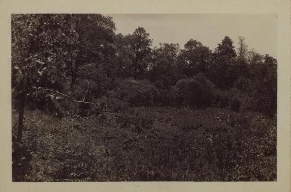 Queens: Horace Harding Boule - Patten Street, 1927