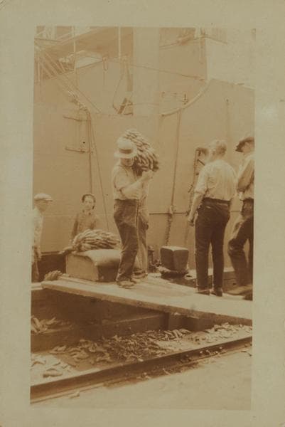Workmen and laborers - [Unloading bananas on the East River Pier No. 16 - United Fruit Company - S.S. Yoro.], 1925–1926