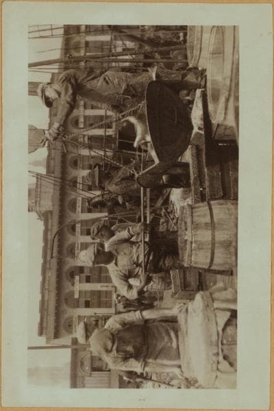 Fulton fish market - [North dock - Unloading and preparing cracked ice for the city's fish supply.], 1923