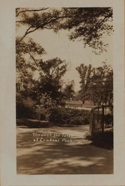 Manhattan: Central Park - Pathways [near the Mall]., 1923
