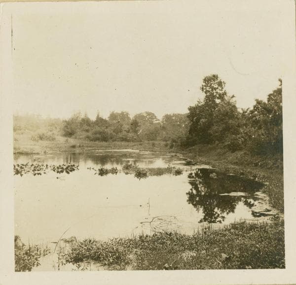 Queens: Utopia Parkway - 73rd Avenue, 1922