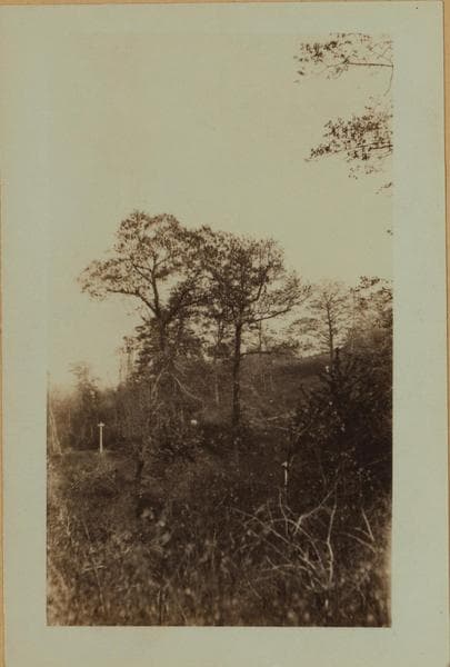 Richmond: Sparkill Avenue - Duncan Street, 1926