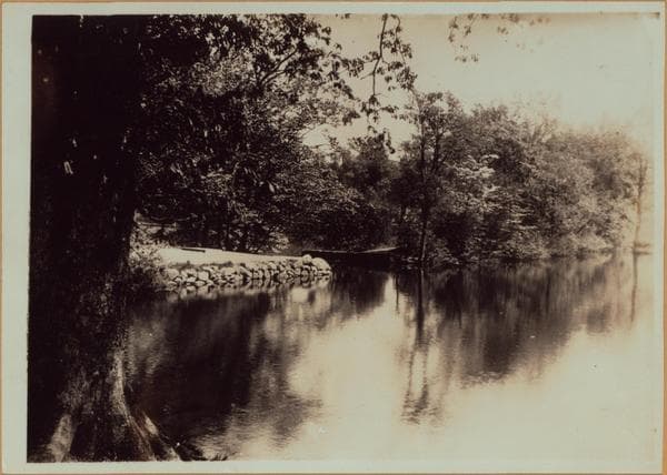 Richmond:] Staten Island - Clove Lakes Park - Clove Lake., 1910