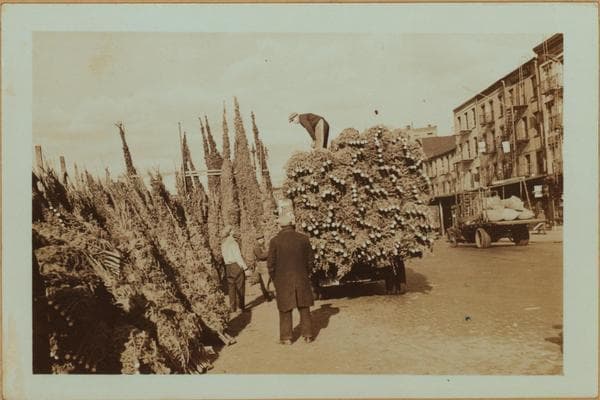 Occupations - Peddlers - Christmas trees., 1935