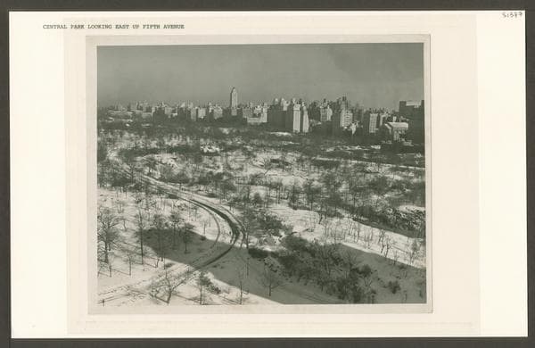 Central Park looking east up Fifth Ave.
