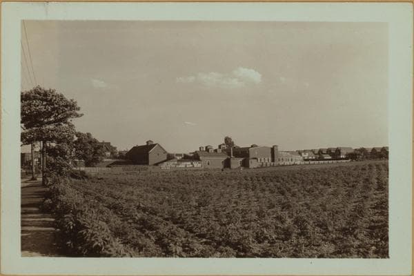 Farming - Queens., 1935–1936