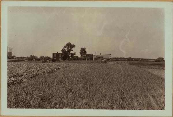 Farming - Queens., 1935