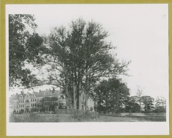 Convent Avenue - 143rd Street, 1891