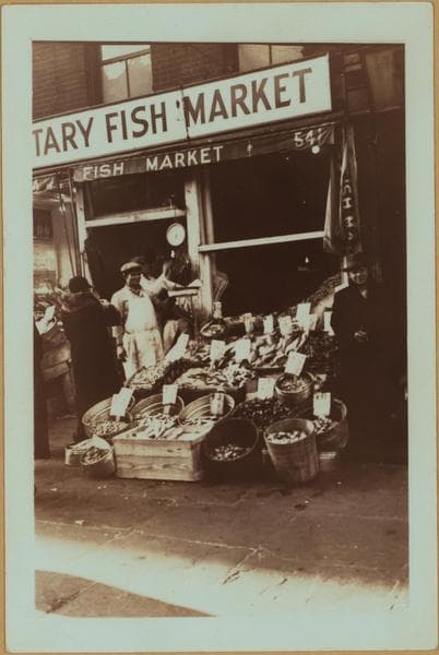 Occupations - Peddlers - Food - Fish., 1924–1938