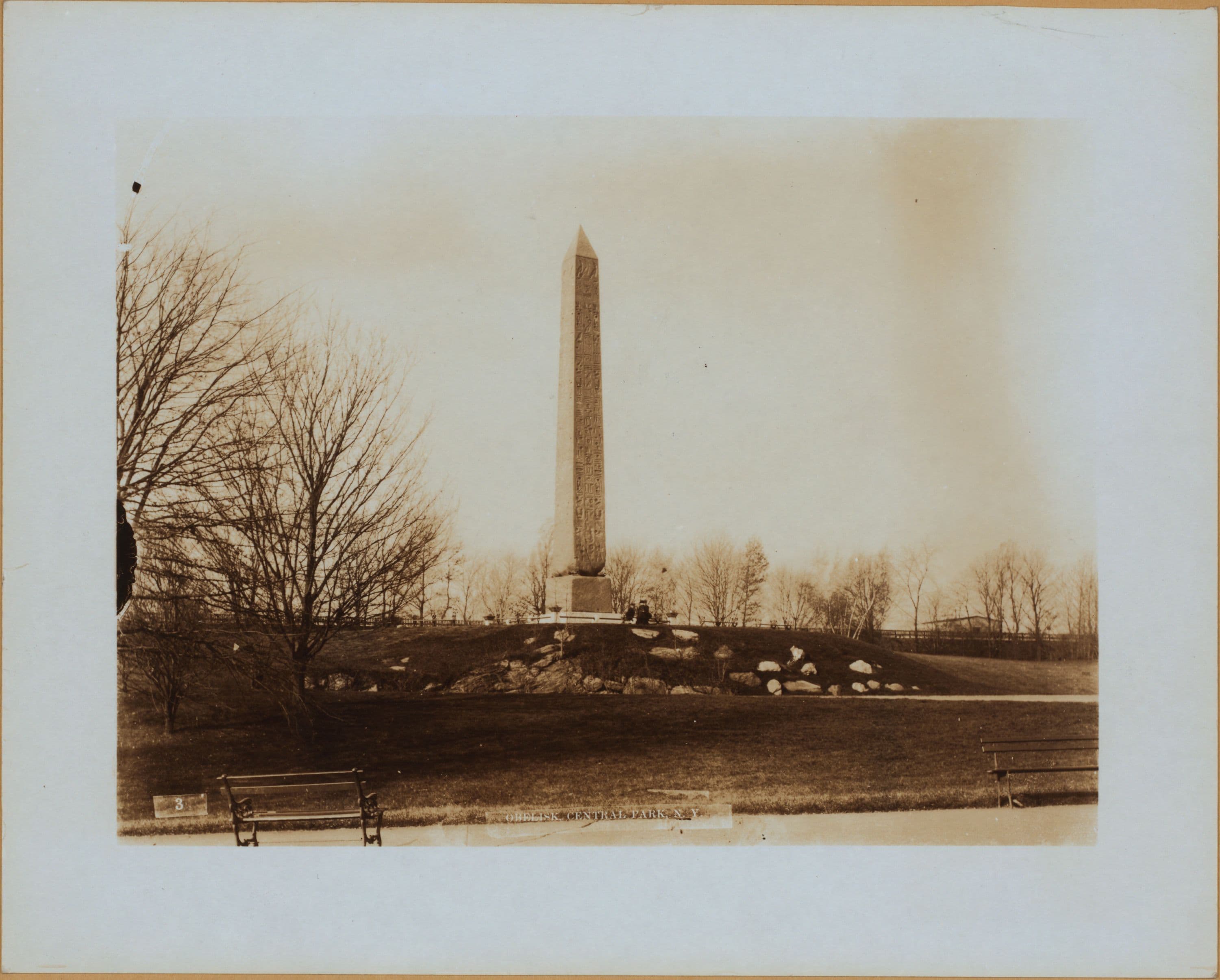 General view - Manhattan - Central Park - The Obelisk.