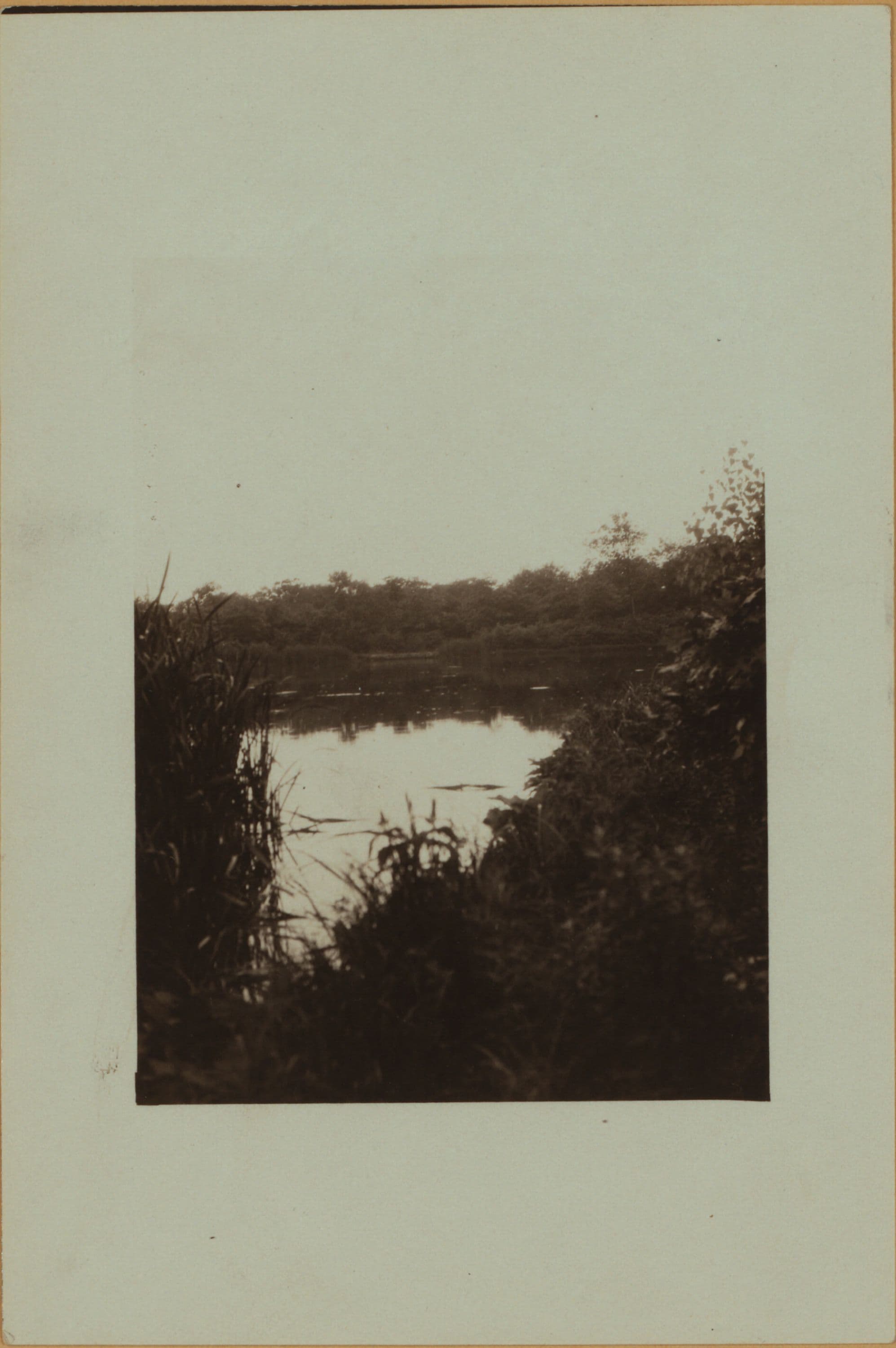 Flagg's pond - Staten Island - [Ernest Flagg property.]