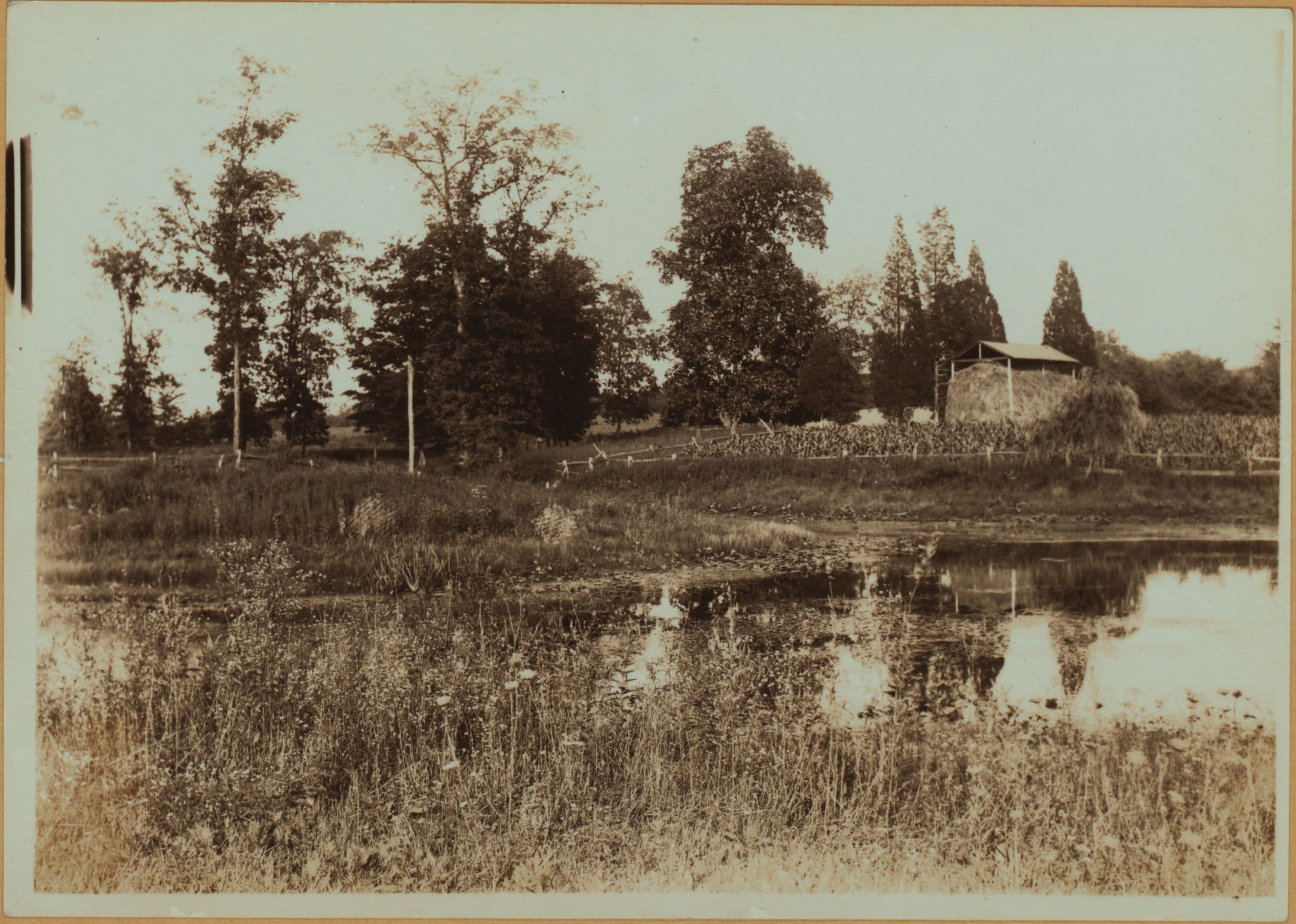 Richmond: Manor Road - Brielle Avenue