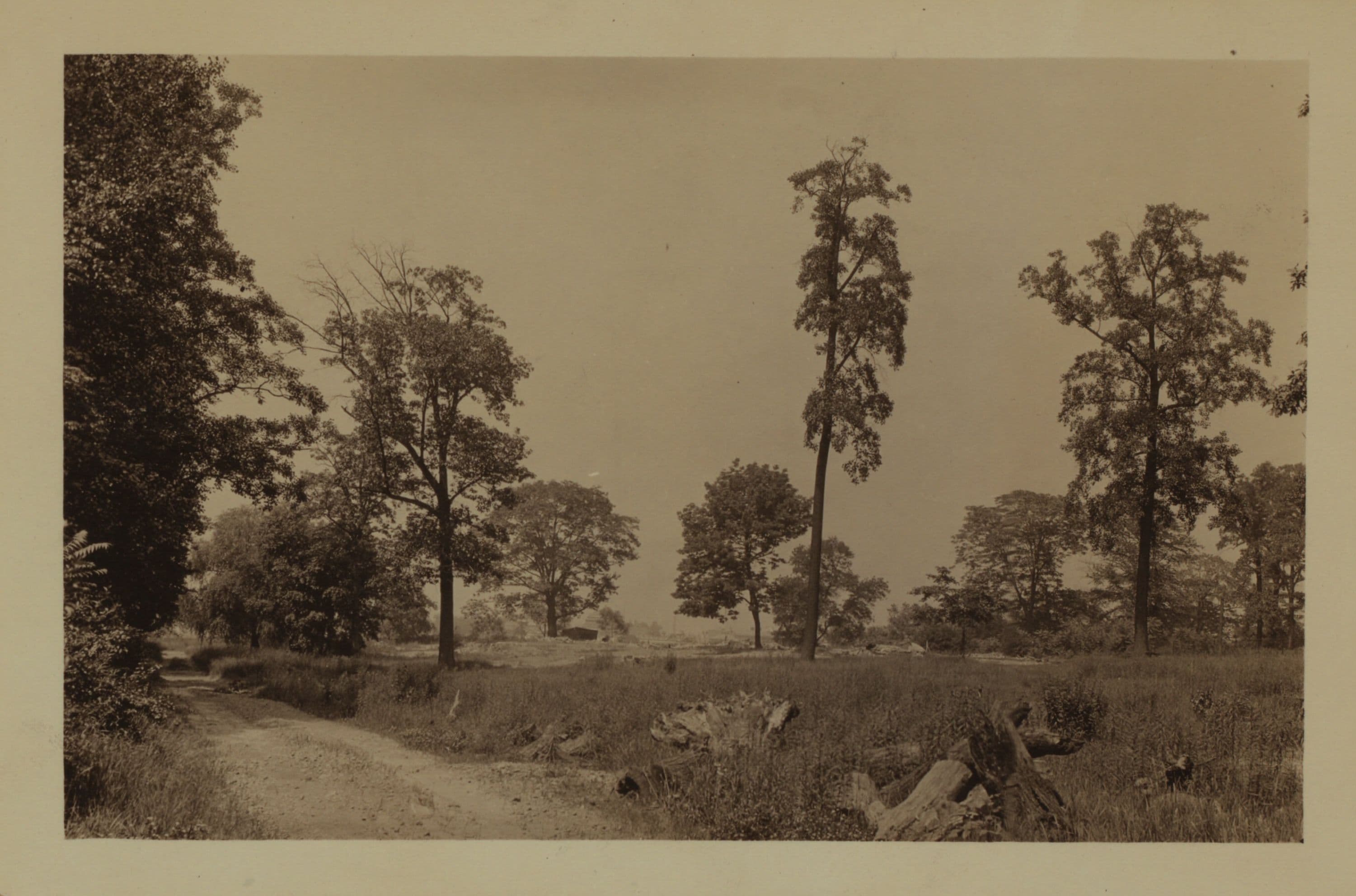 Richmond: Richmond Terrace - Tysen Street