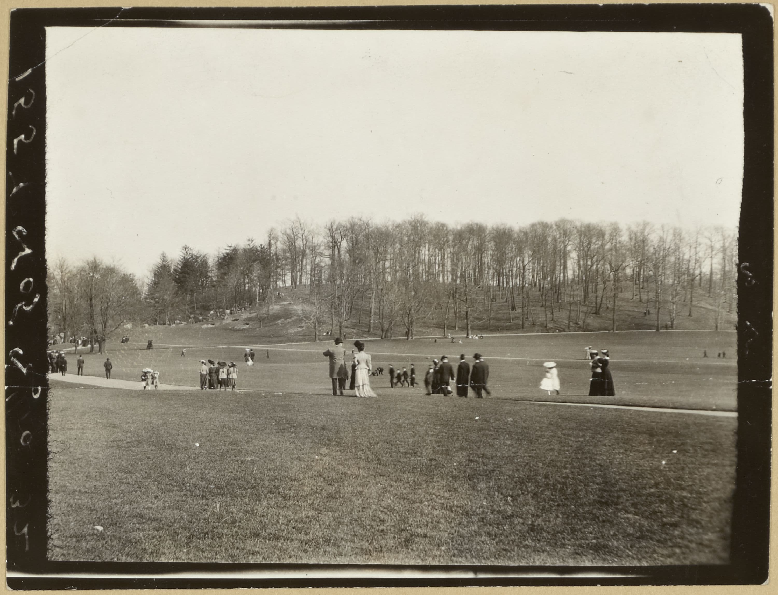 Brooklyn: Prospect Park.