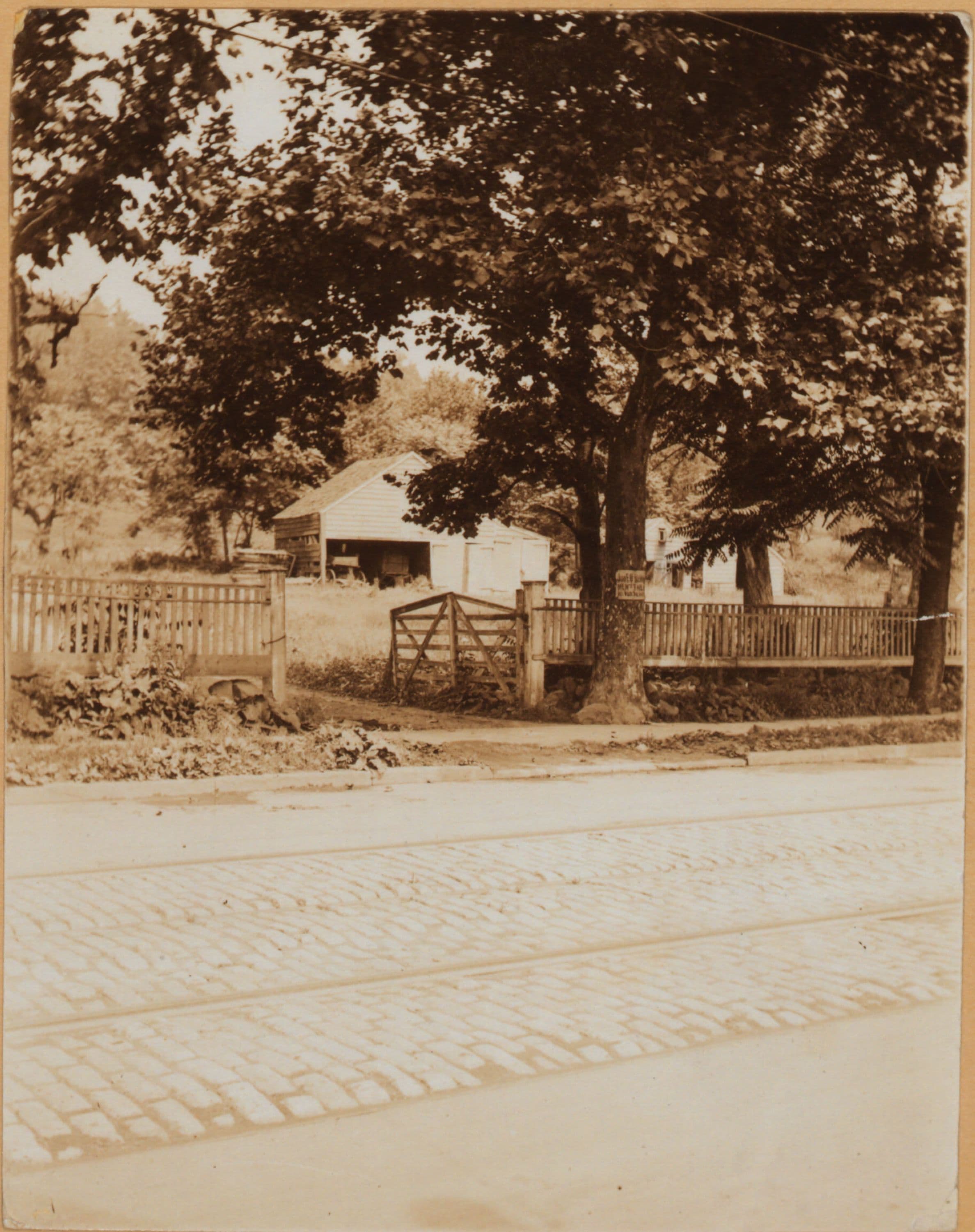 Brooklyn: Jamaica Avenue - Warwick Street, 1895