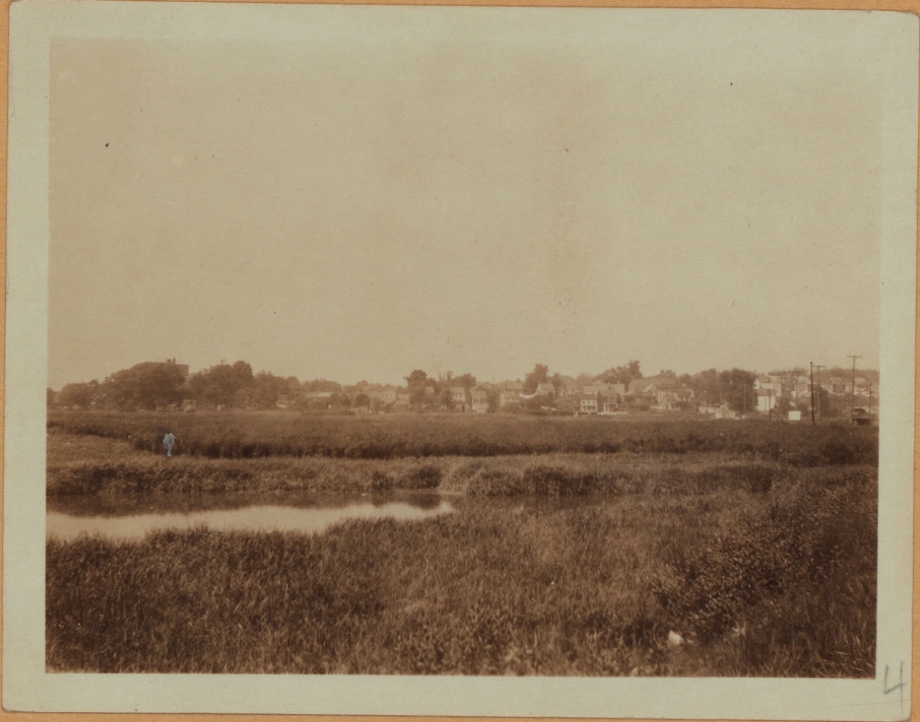 Queens: Flushing Meadow Park - [Mill Pond.]