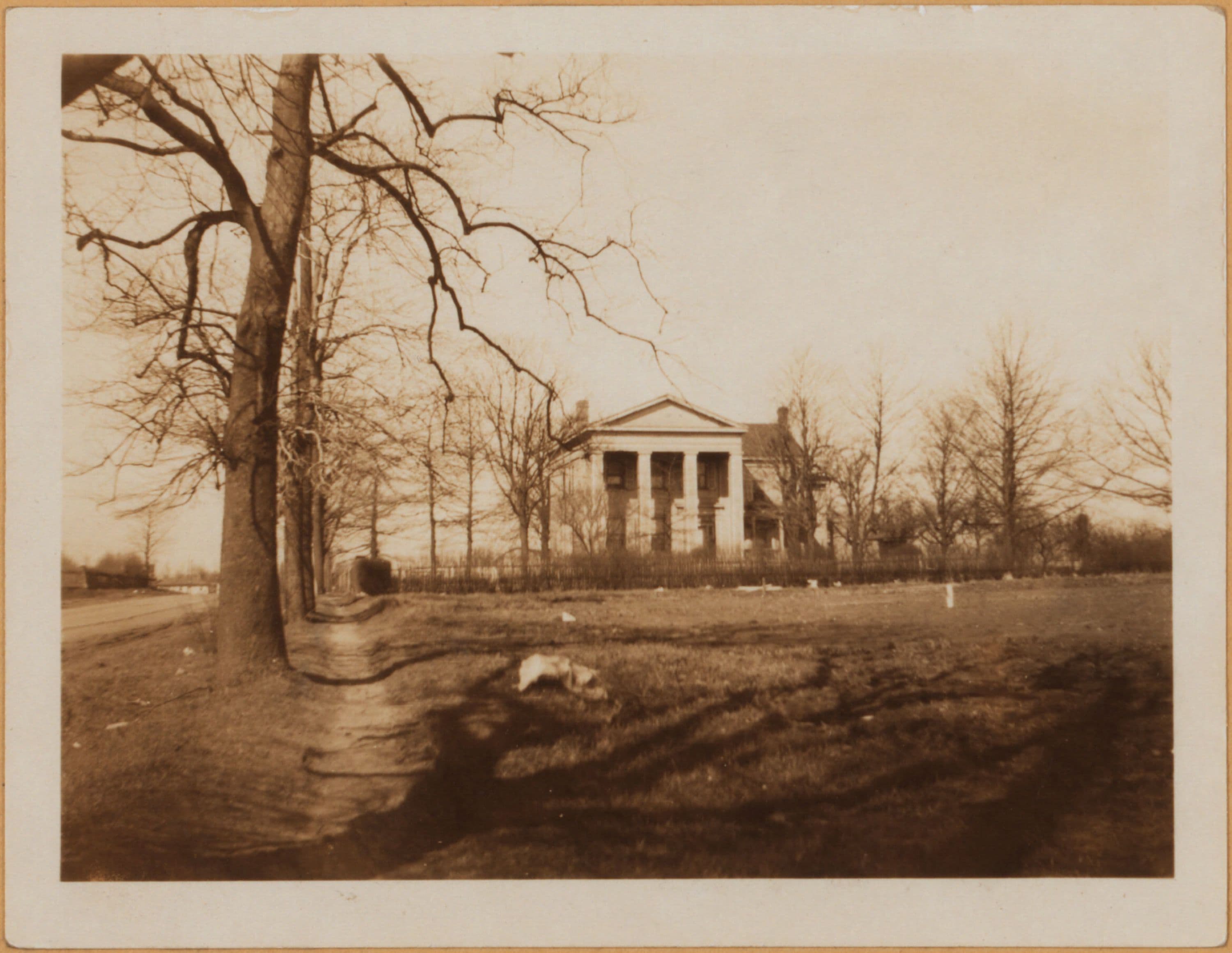Brooklyn: Kings Highway - Avenue D