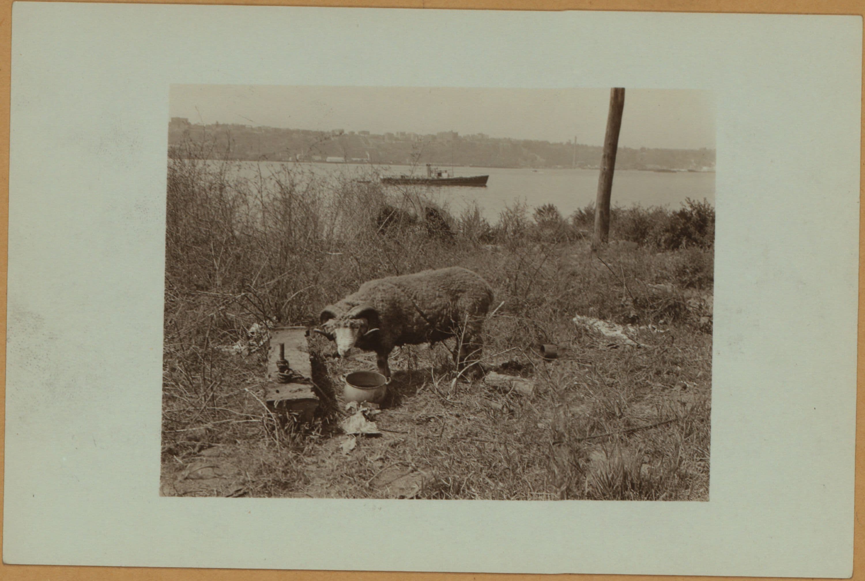Squatters Colony - Camp Thomas Paine.