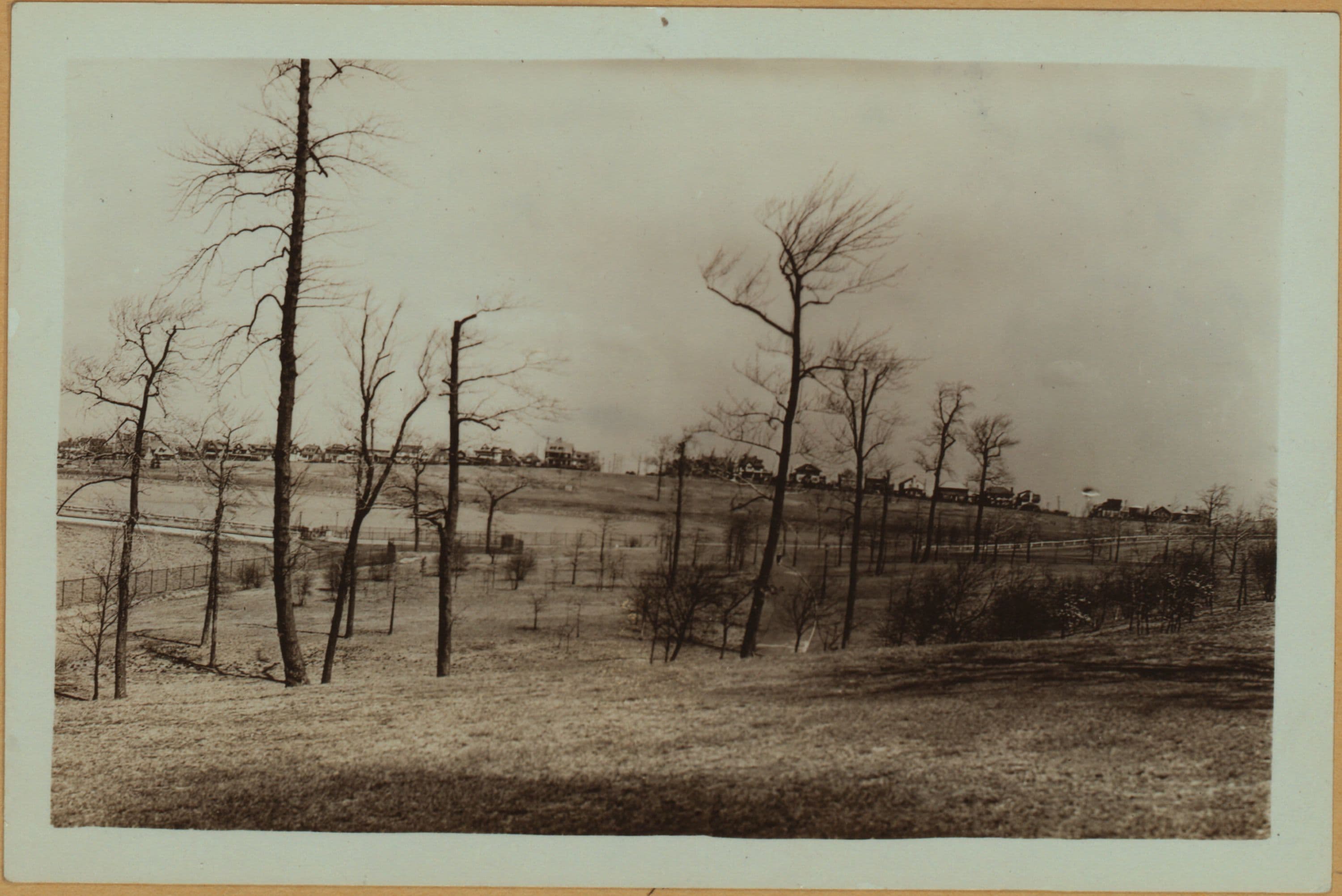 Richmond: Victory Boulevard - Forest Avenue