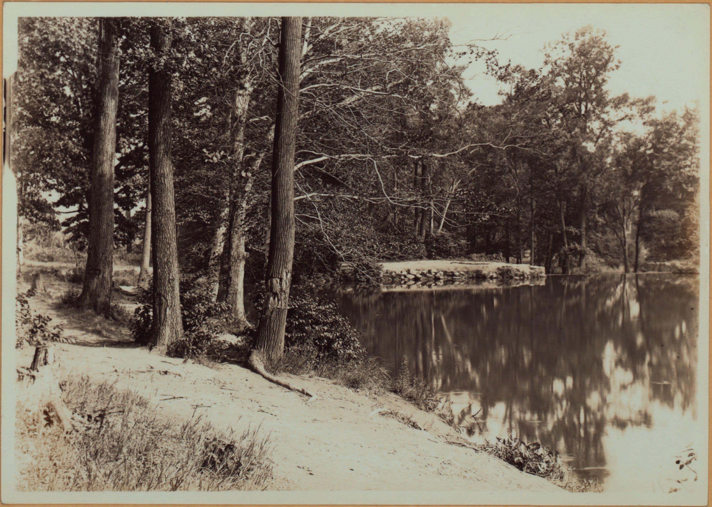 Richmond:] Staten Island - Clove Lakes Park - Clove Lake.