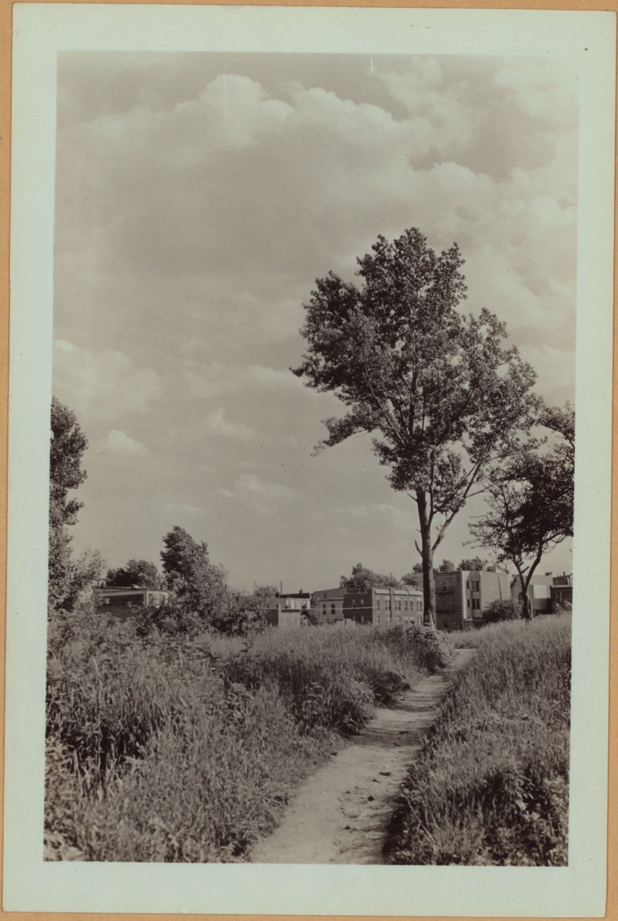 Queens: Queens Boulevard - Woodhaven Boulevard