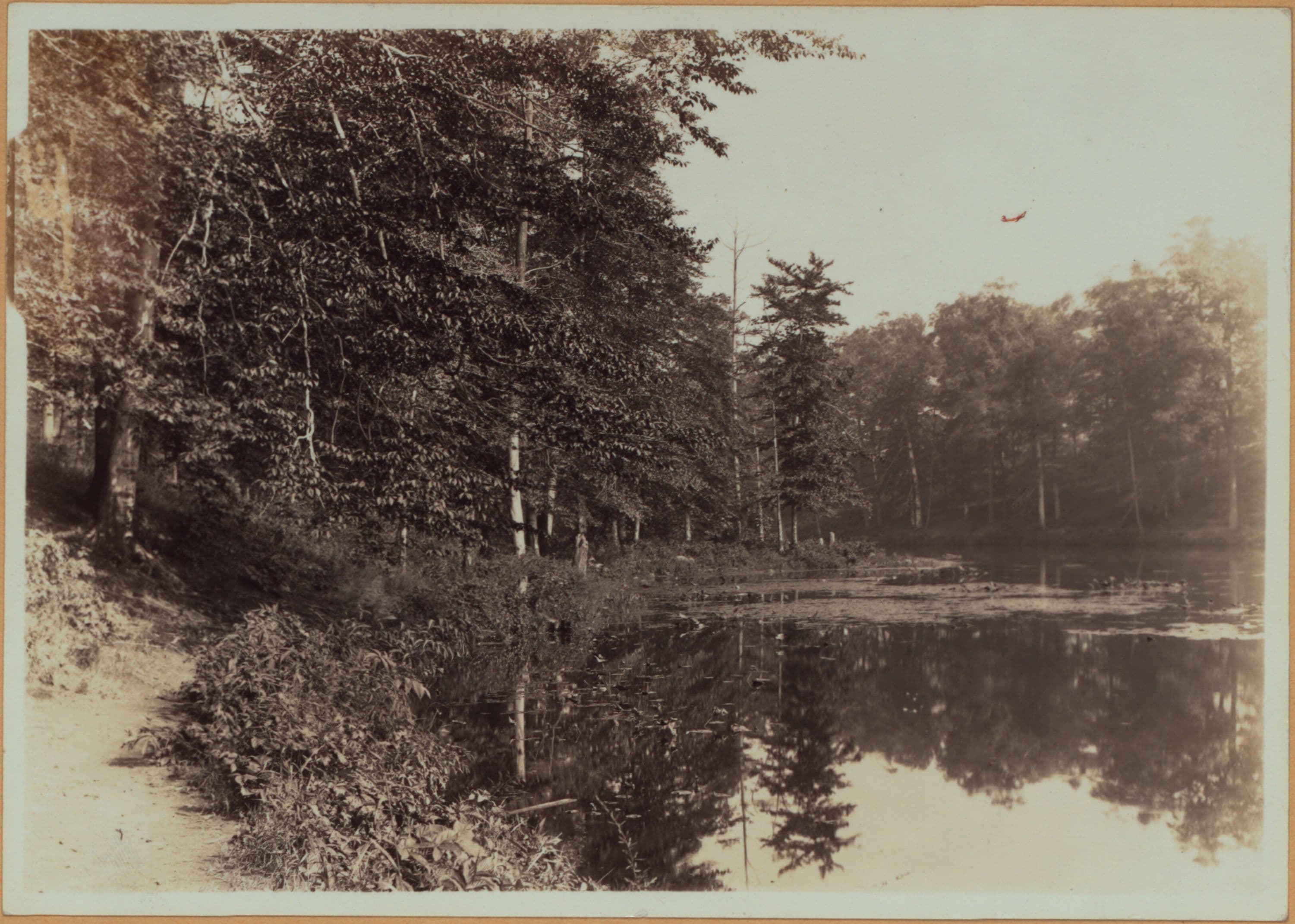 Richmond:] Staten Island - Clove Lakes Park - [Autumn on Clove Lake.