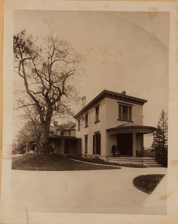 Bronx: Castle Hill Avenue - Norton Avenue