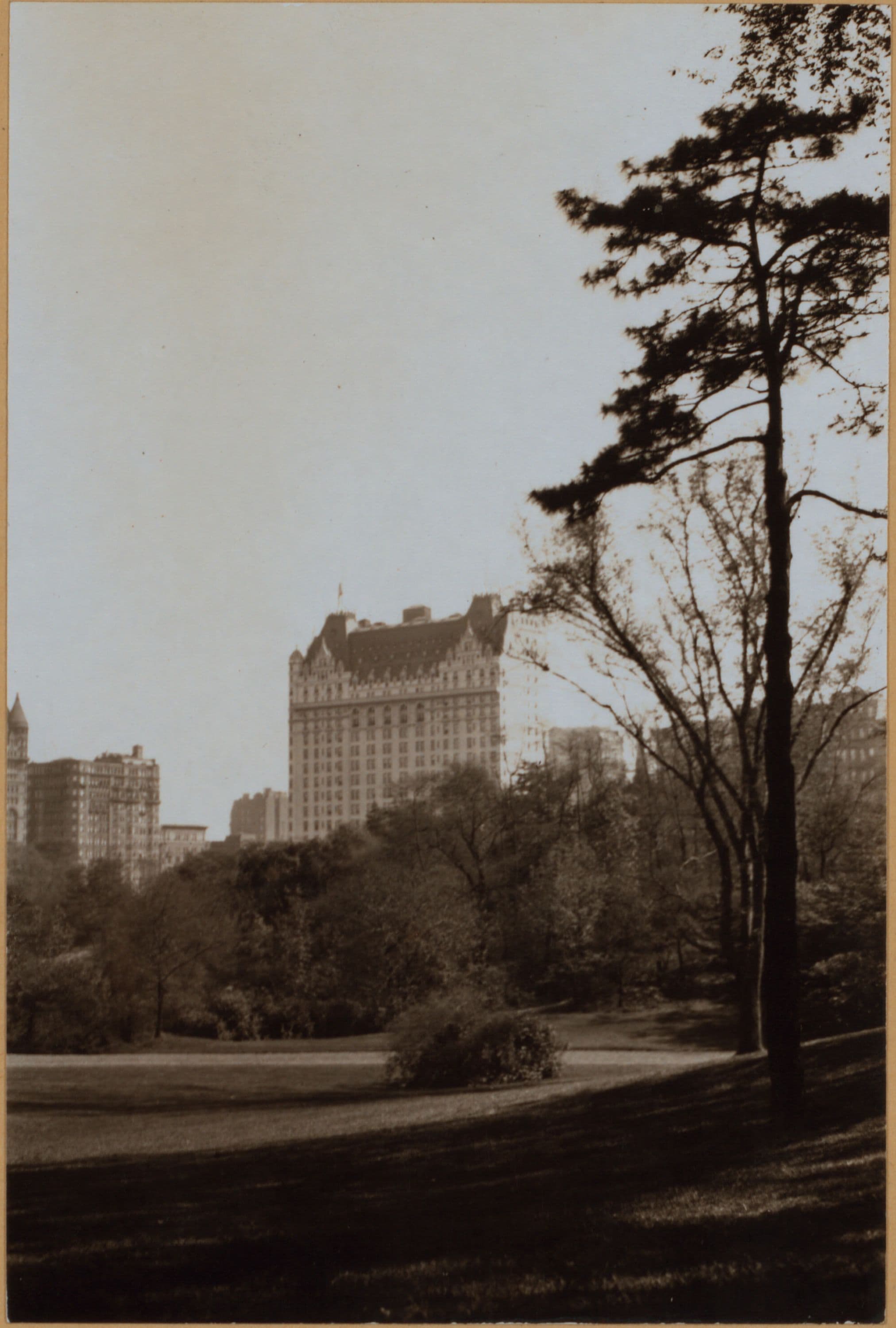 Manhattan: Central Park - Bridal path.