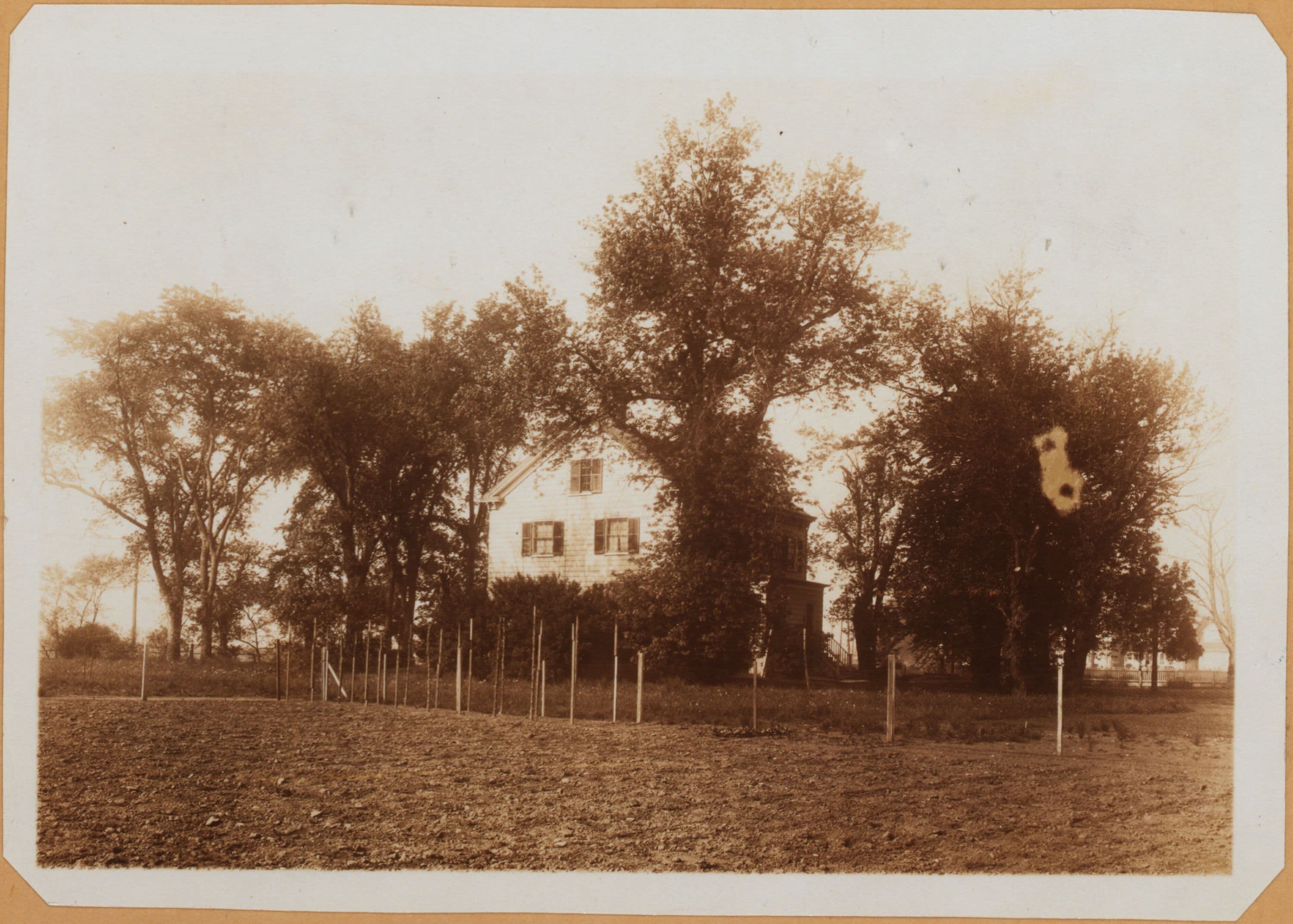 Brooklyn: Kings Highway - 38th Street (East)