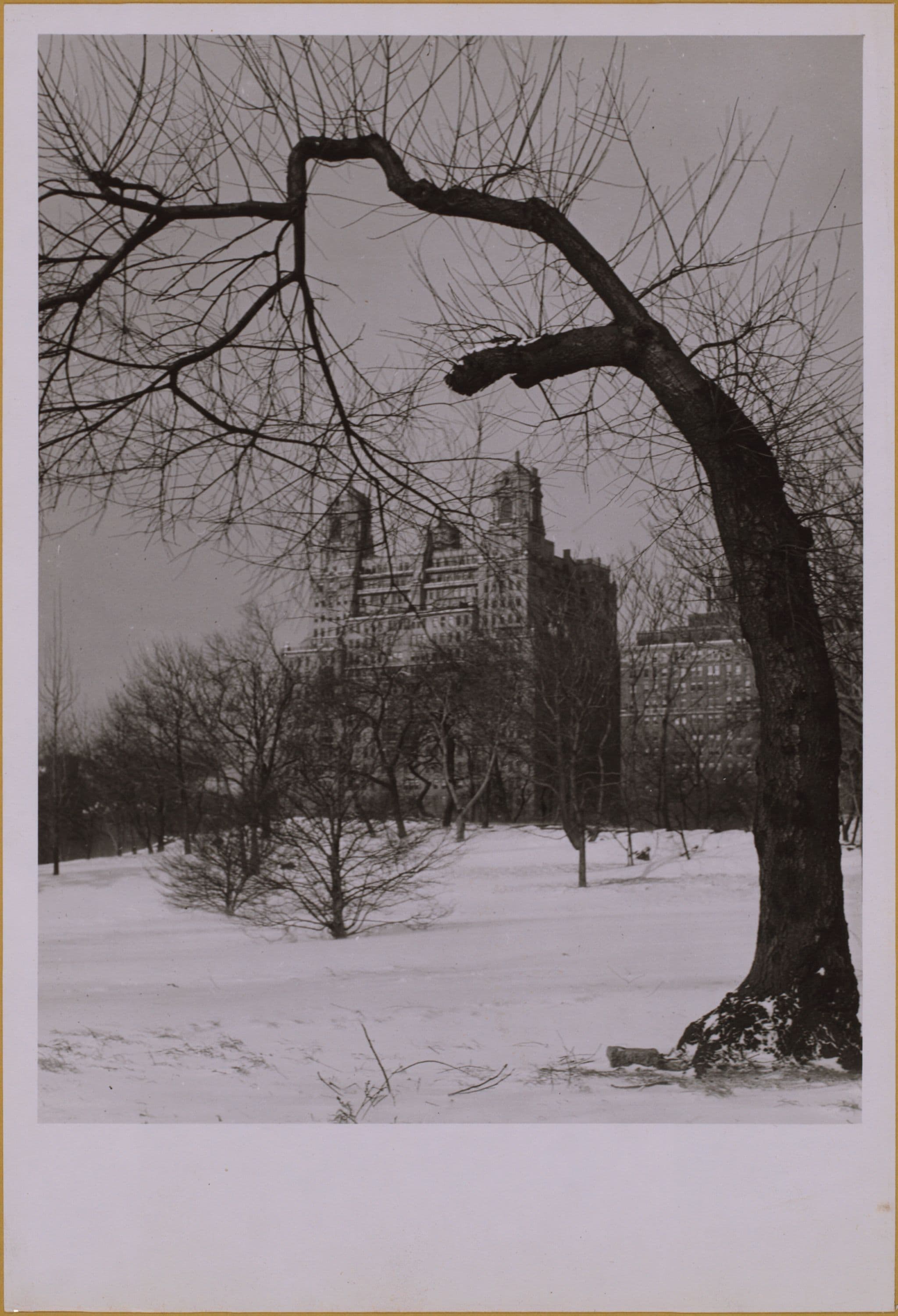 Manhattan: Central Park West - 81st Street