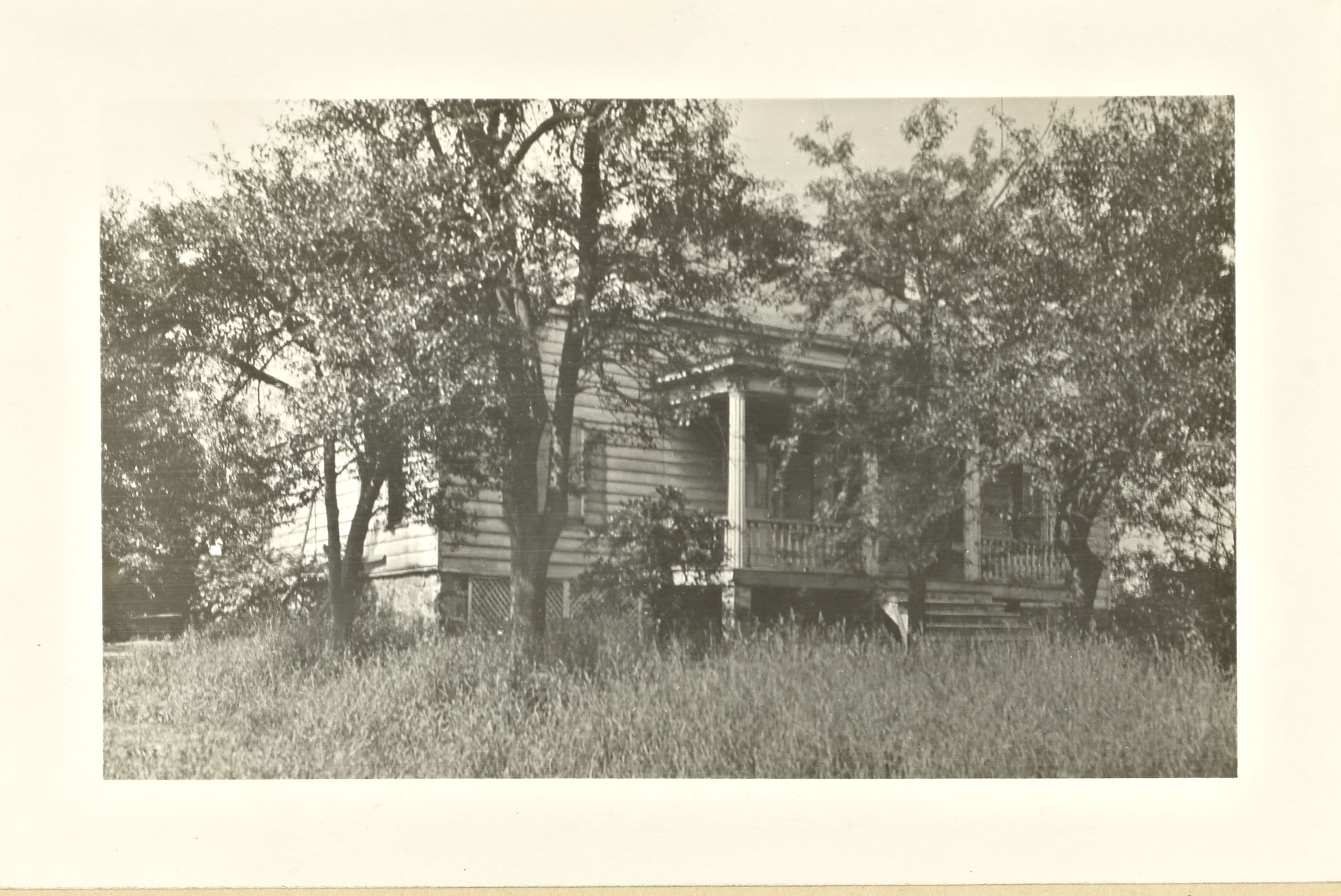 Queens: Woodhaven Boulevard - Queens Boulevard