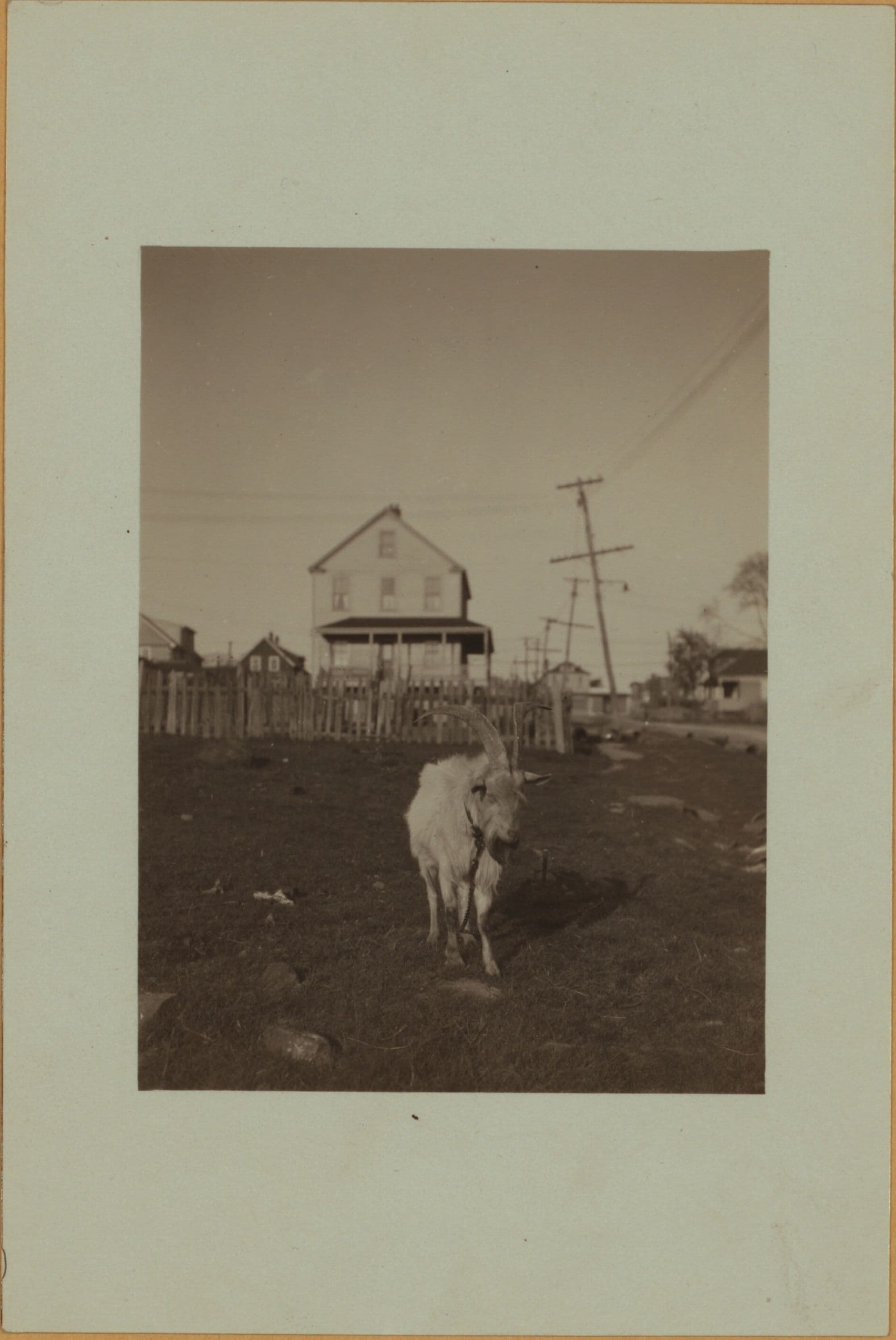 Farming on Staten Island, 1926