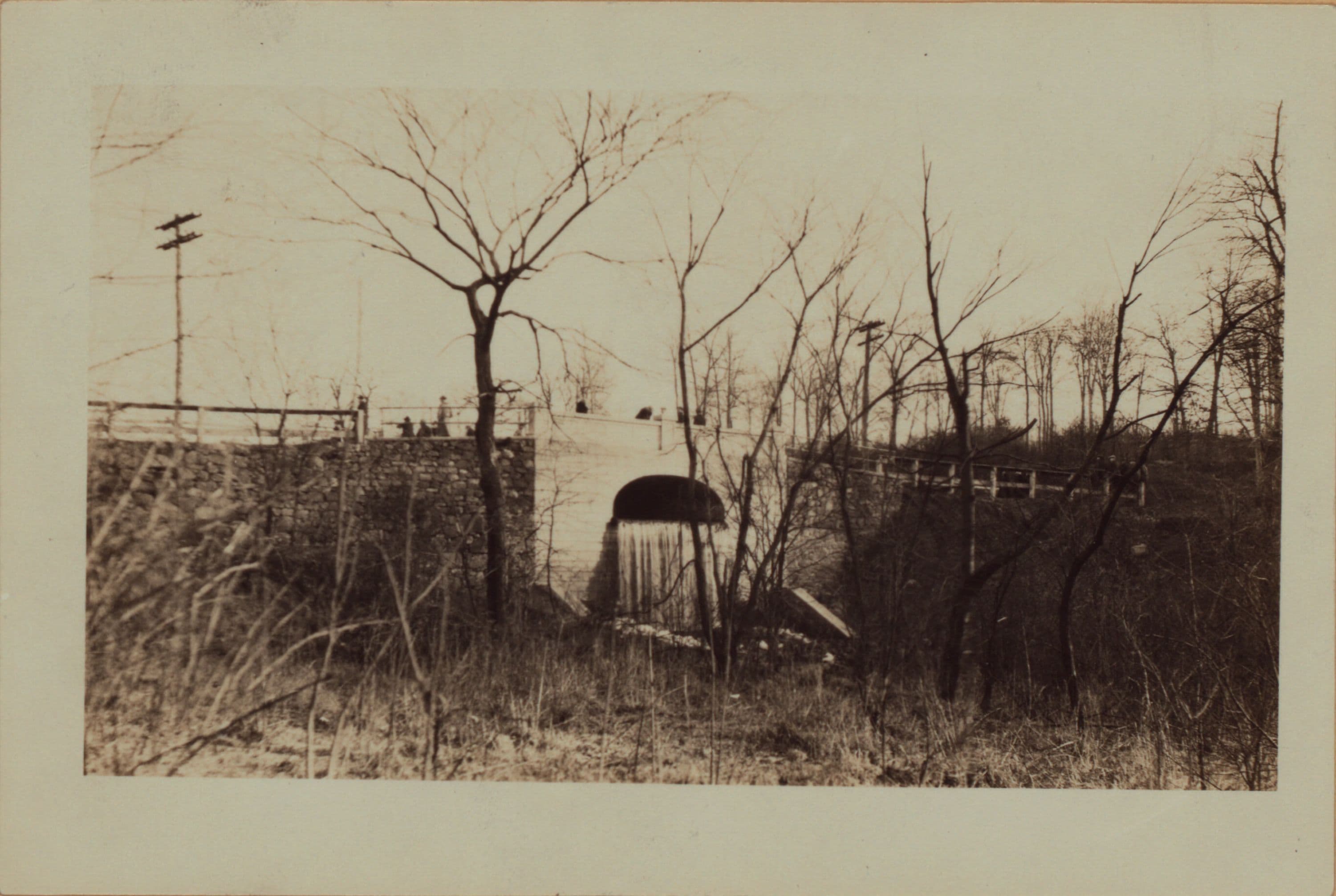 Richmond: [Staten Island] - Clove Lakes Park - Martling's Falls.