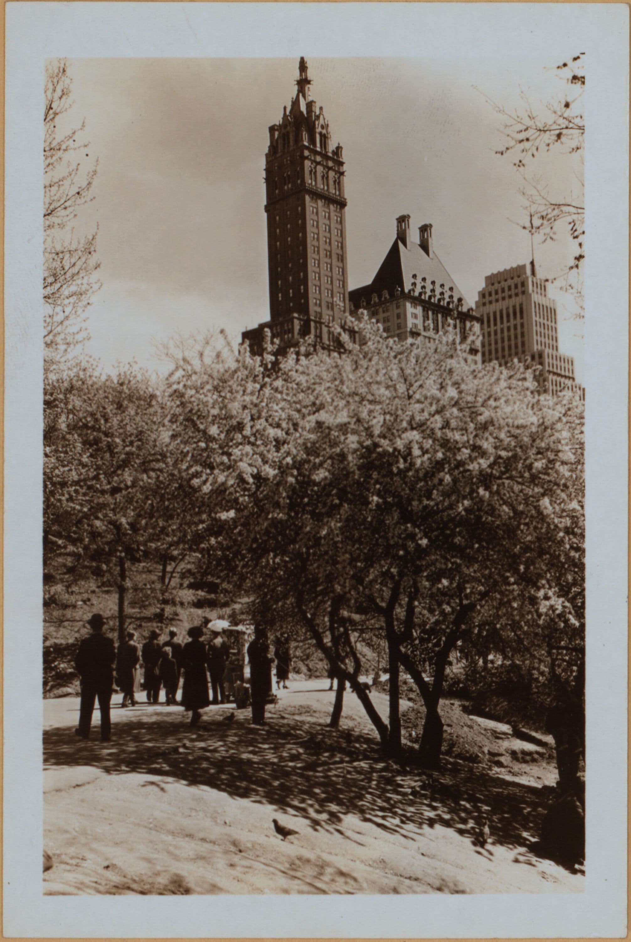 Manhattan: Central Park - Cliffs.