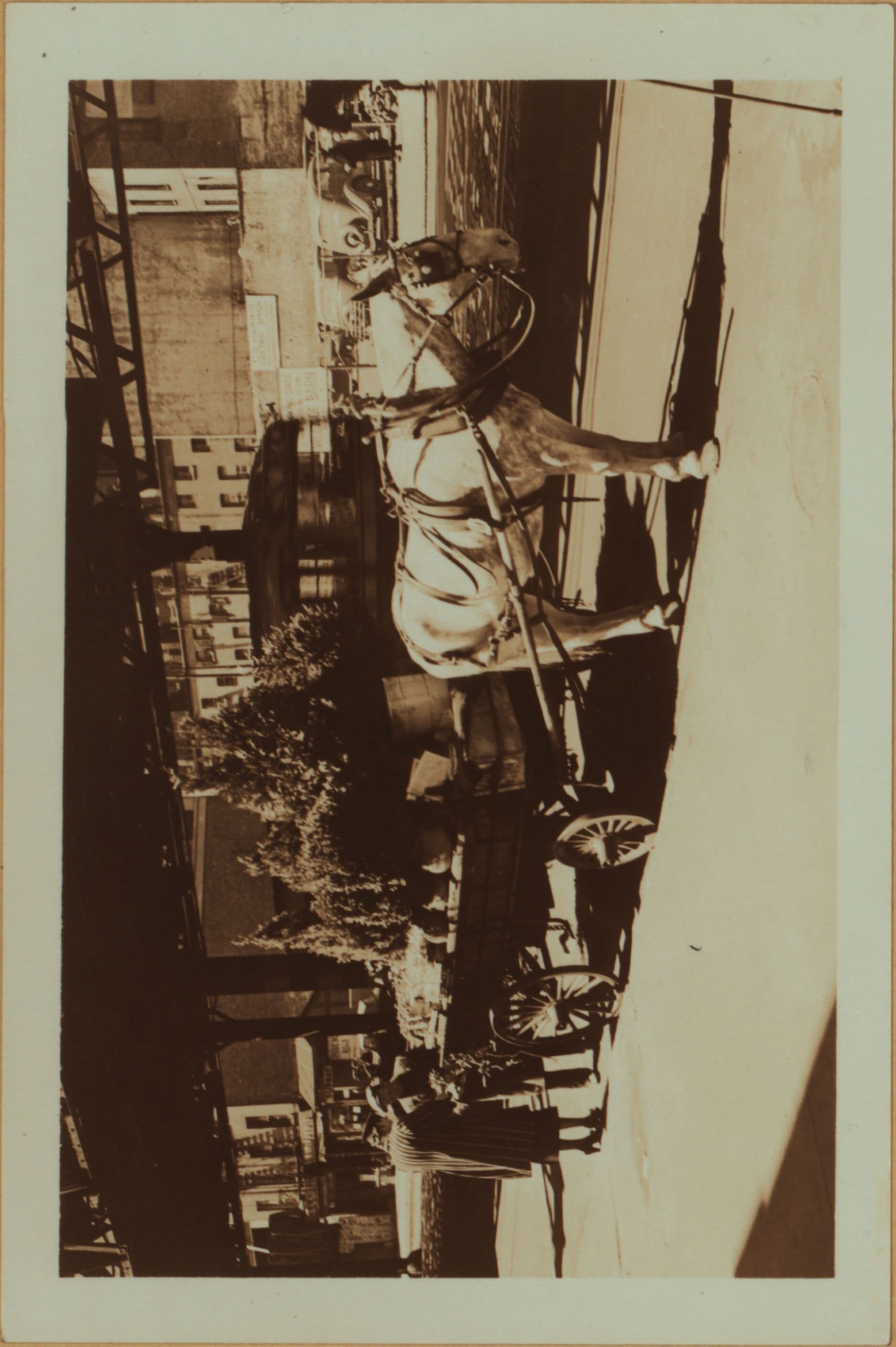 Occupations - Peddlers - Flowers - [Brooklyn].