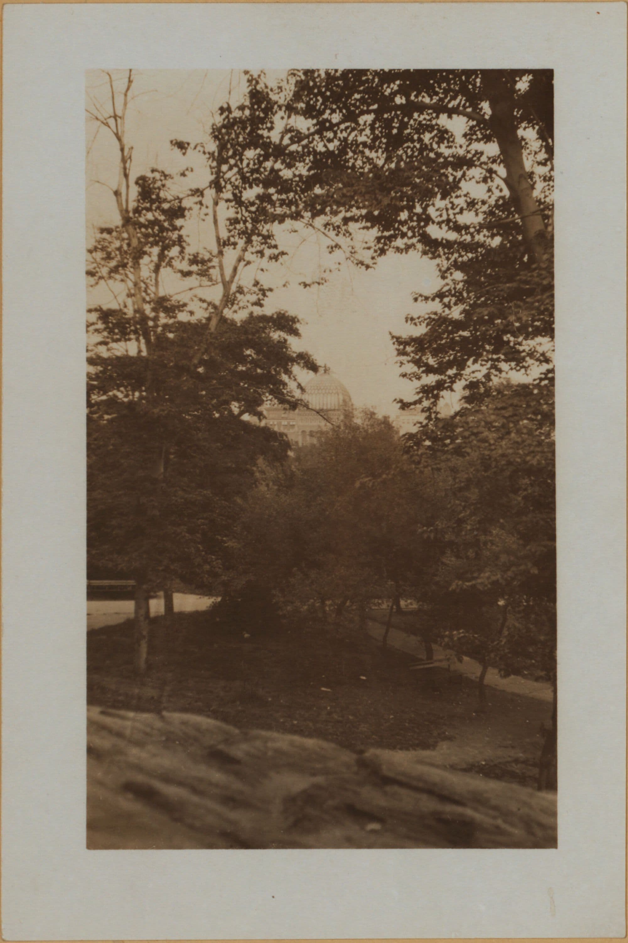 Manhattan: 5th Avenue - 76th Street